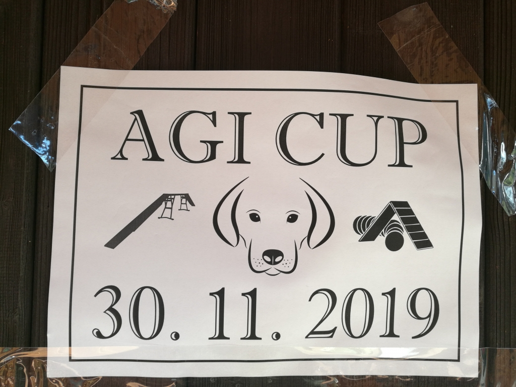 AGI CUP