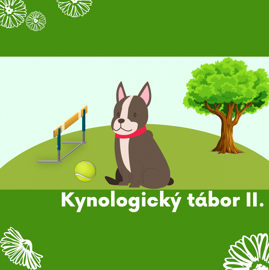 17 Agility II - kynologický (i bez psů)