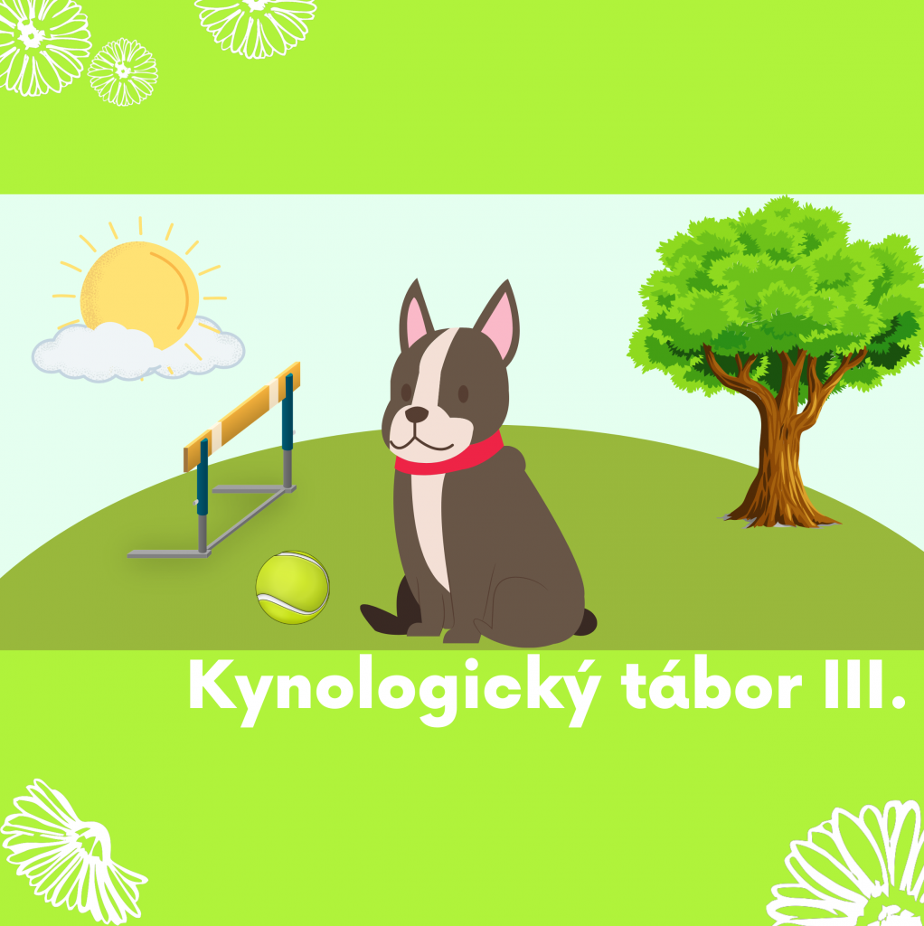 22 Agility III - kynologický (i bez psů)