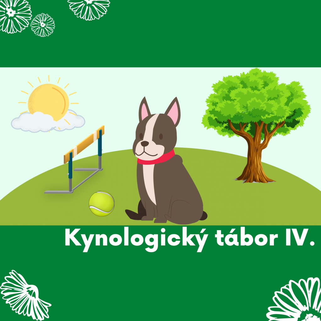 31 Agility IV - kynologický (se psy)