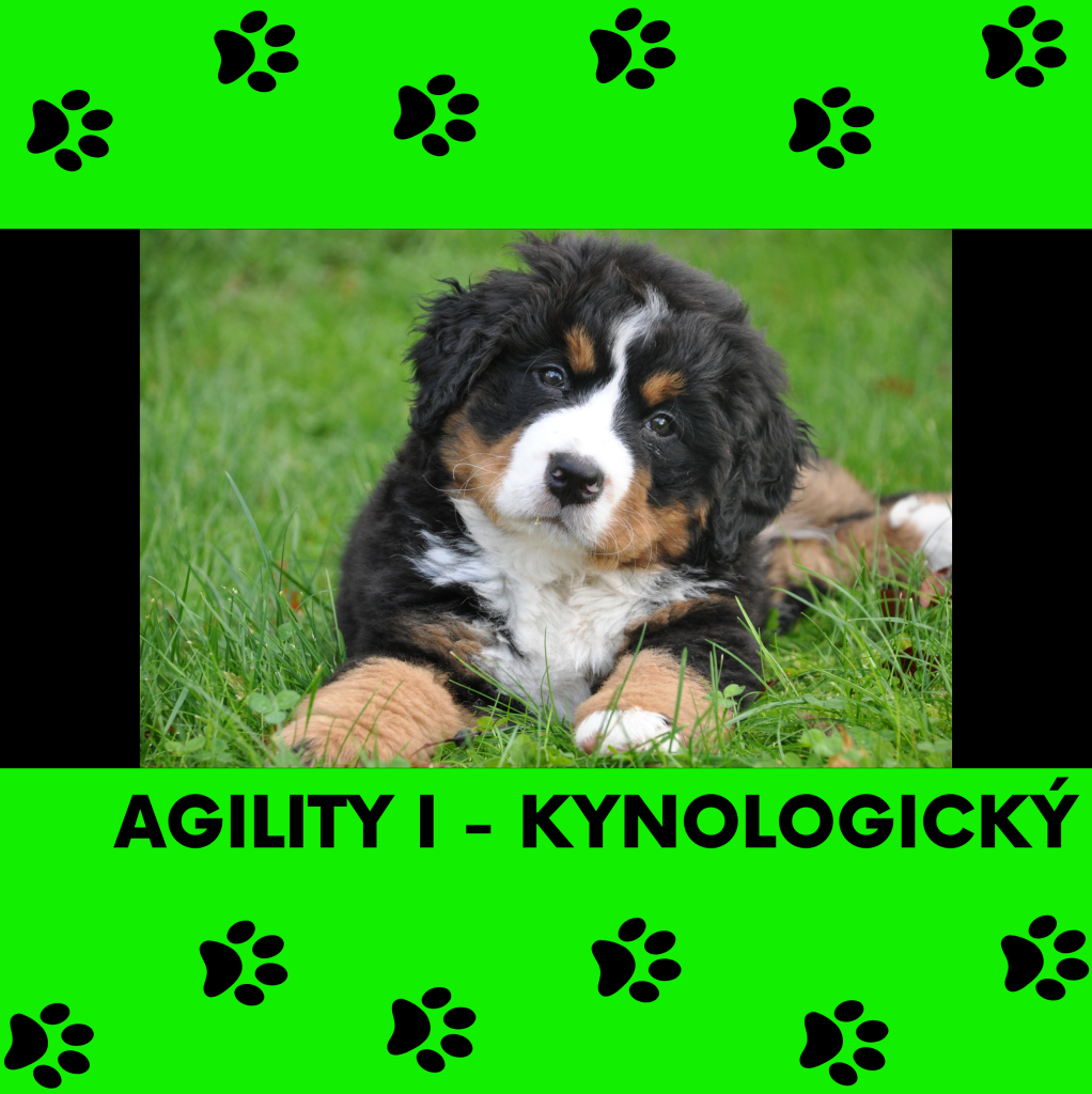 10 Agility I - kynologický (se psy)