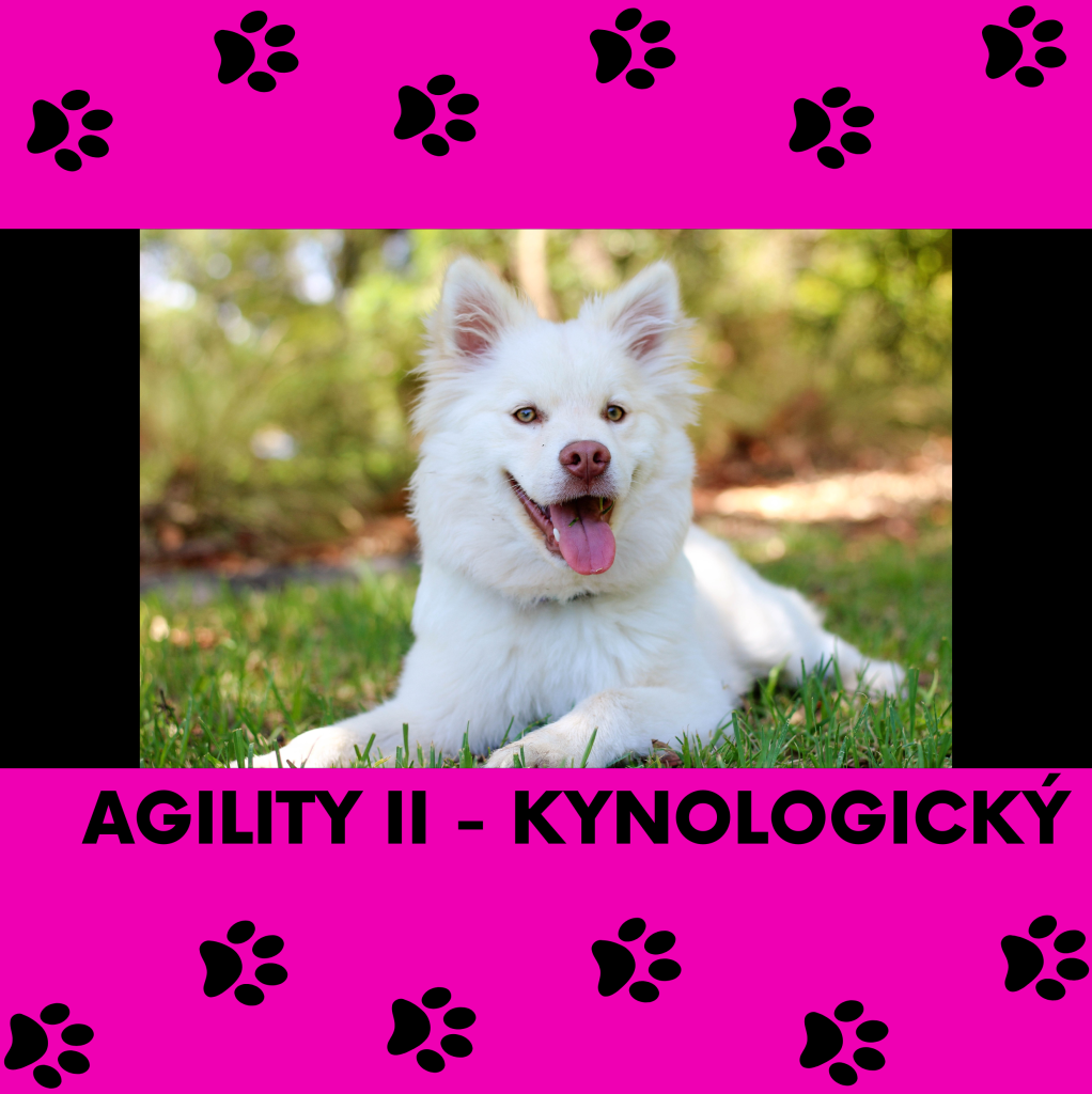 19 Agility II - kynologický (se psy)
