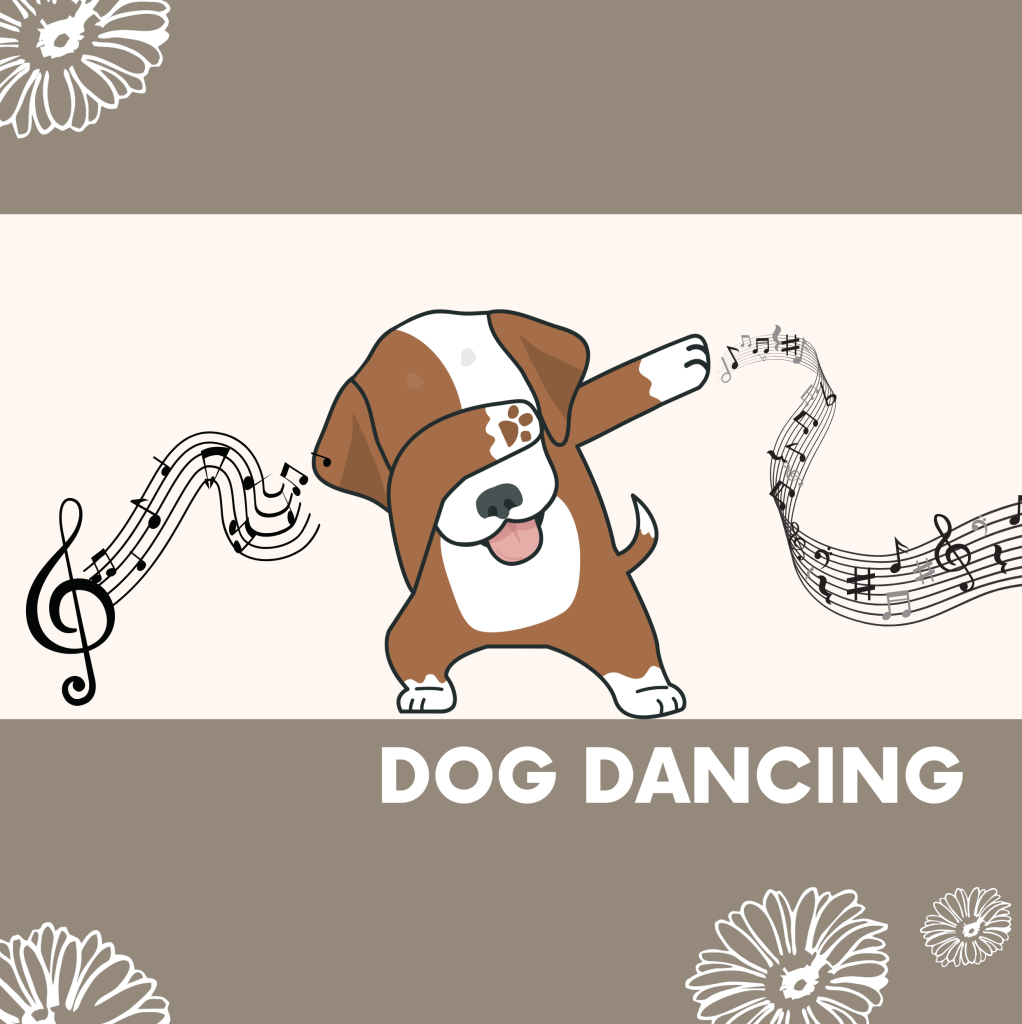 Lekce Dog Dancingu