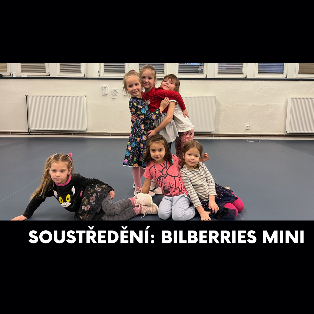 Soustředění: Bilberries Mini