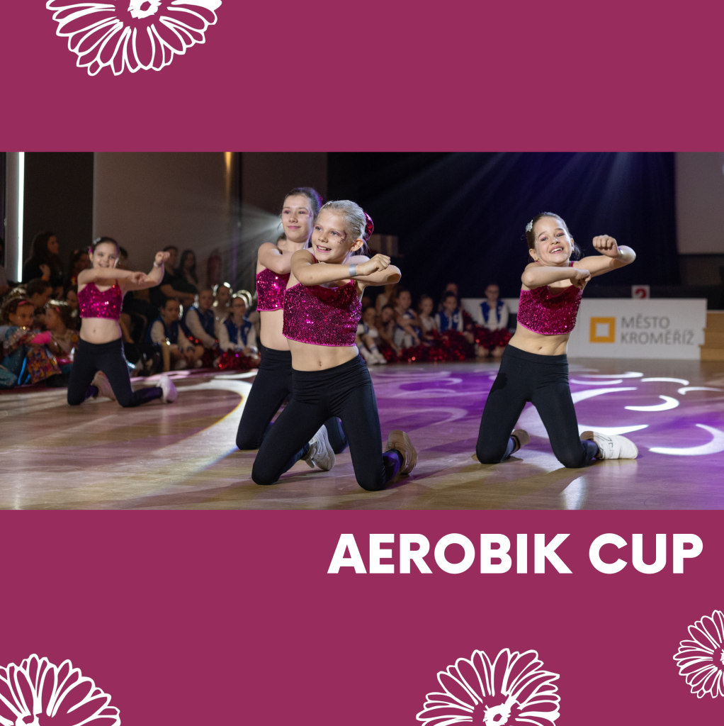 Soutěž AerobiK Cup