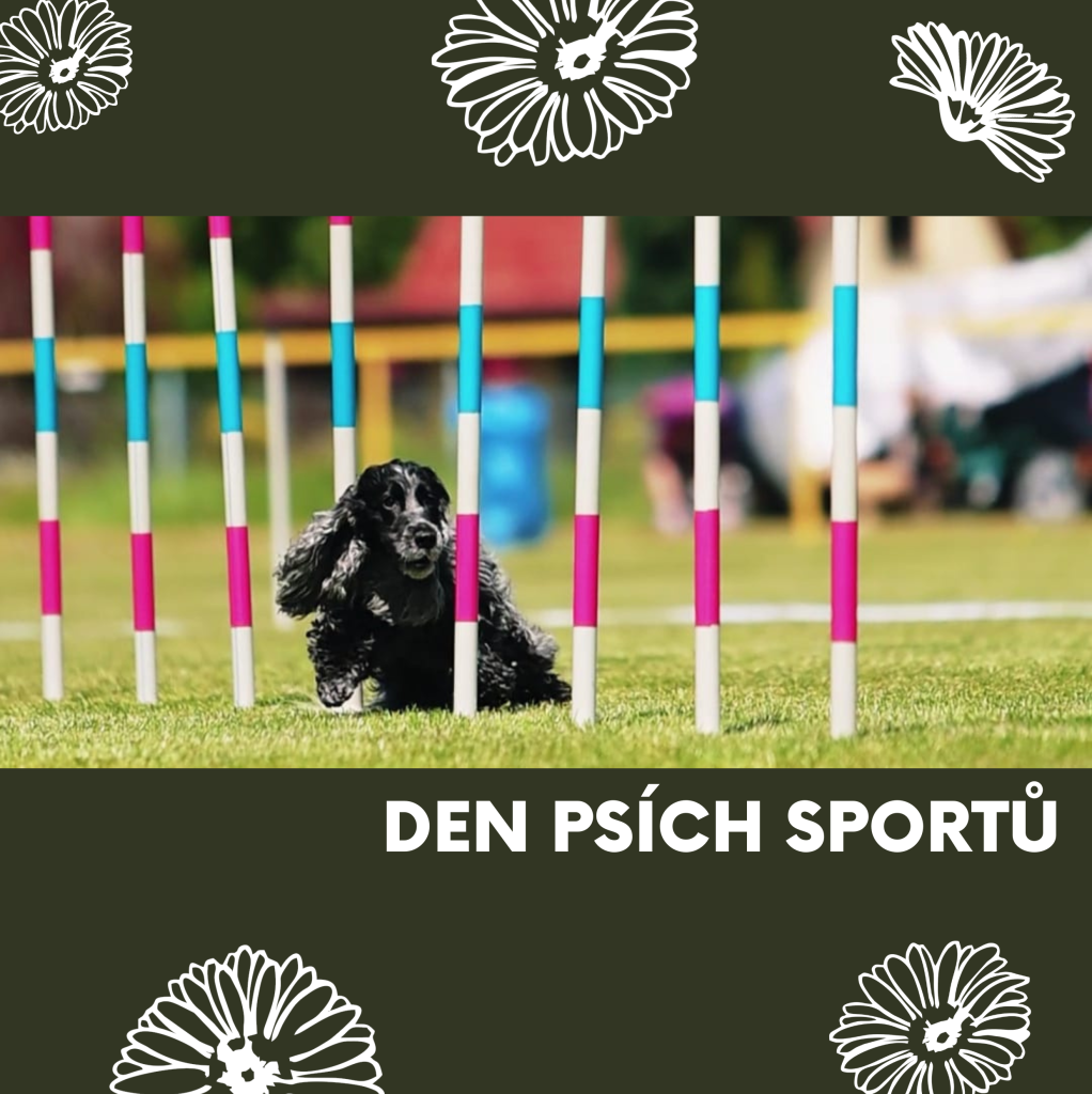 Léto se psem? Burešov patří psím sportům i společnému tréninku