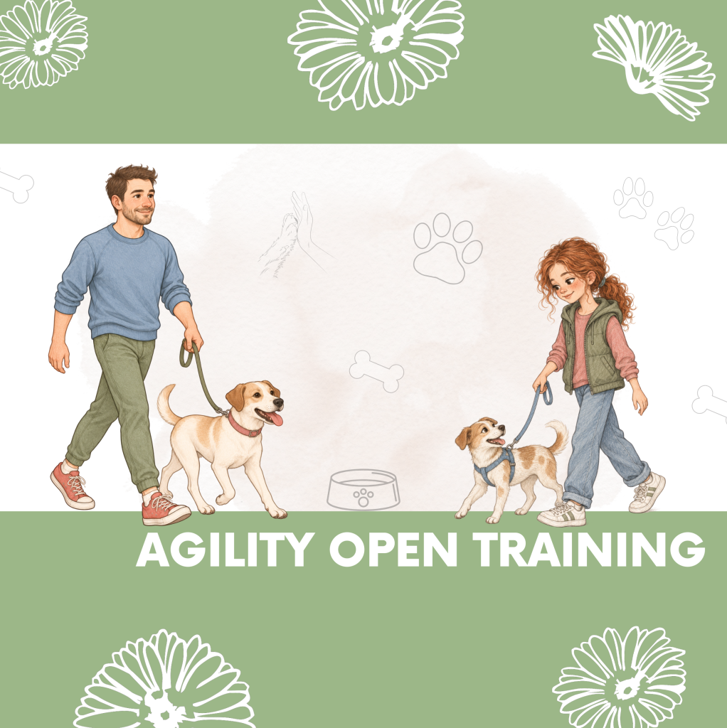 AGILITY OPEN TRAINING