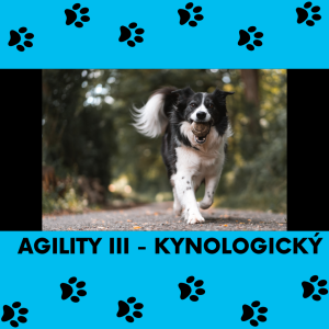 30 Agility III - kynologický (se psy)