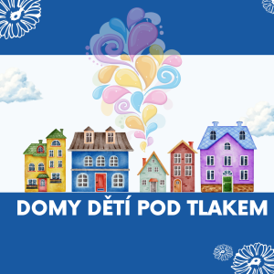 Šetření mezi řediteli DDM a SVČ