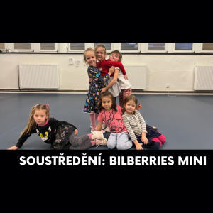 Soustředění: Bilberries Mini