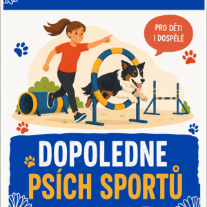 Dopoledne psích sportů