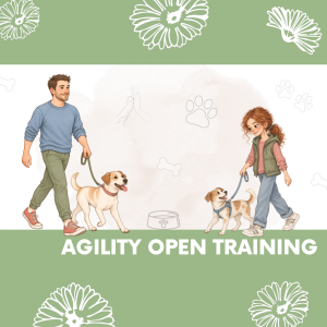 AGILITY OPEN TRAINING